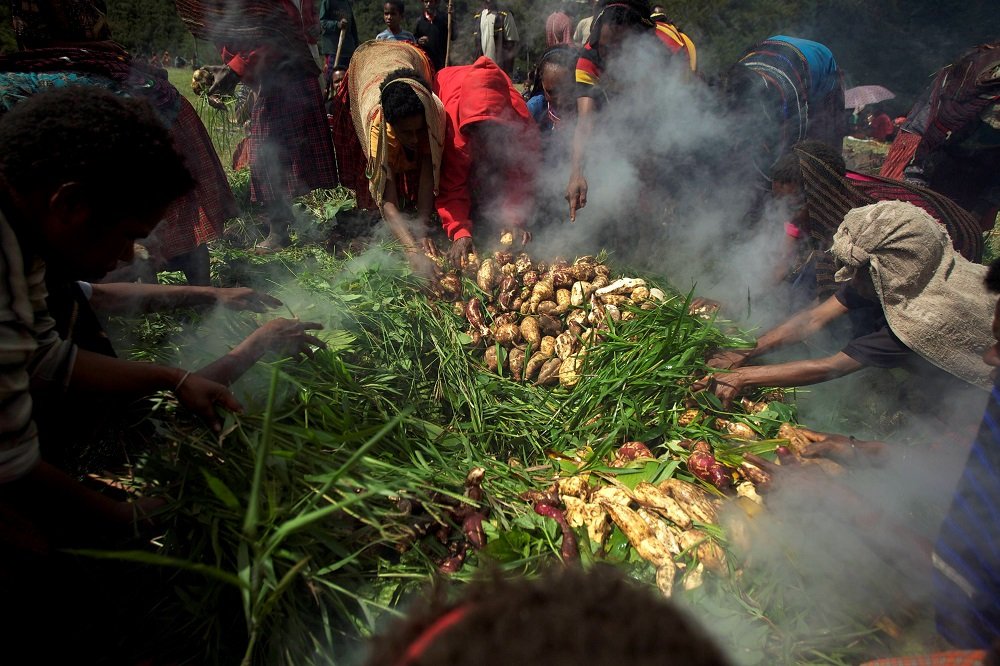 Ritual Bakar Batu: Tradisi Kebersamaan di Tanah Papua
