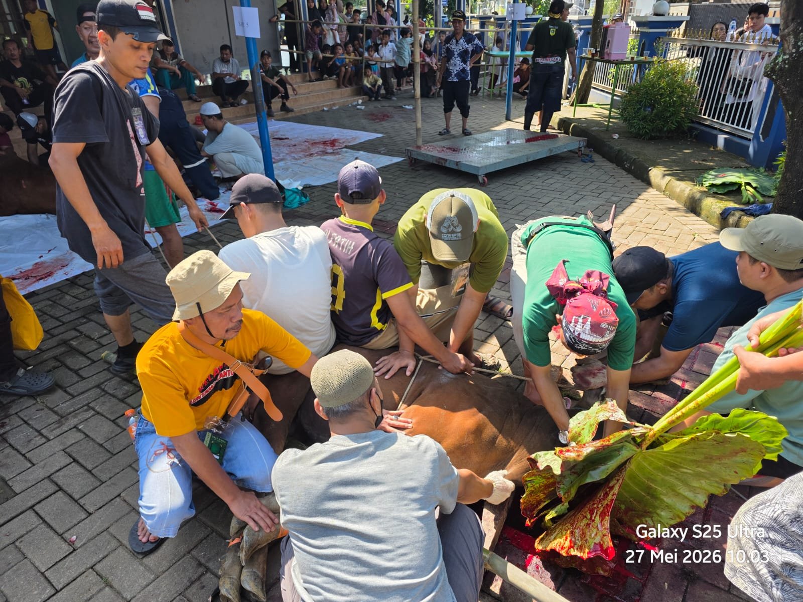 Masjid Ar-Rahmah Duta Mekar Asri Cileungsi Sembelih 10 Sapi dan 23 Kambing saat Idul Adha 1447 H