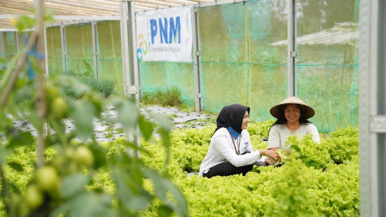 PNM Raih Indonesia Most Trusted Companies, Bukti Patuh Tata Kelola yang Dijalankan dari Hulu ke Hilir - Budayantara TV